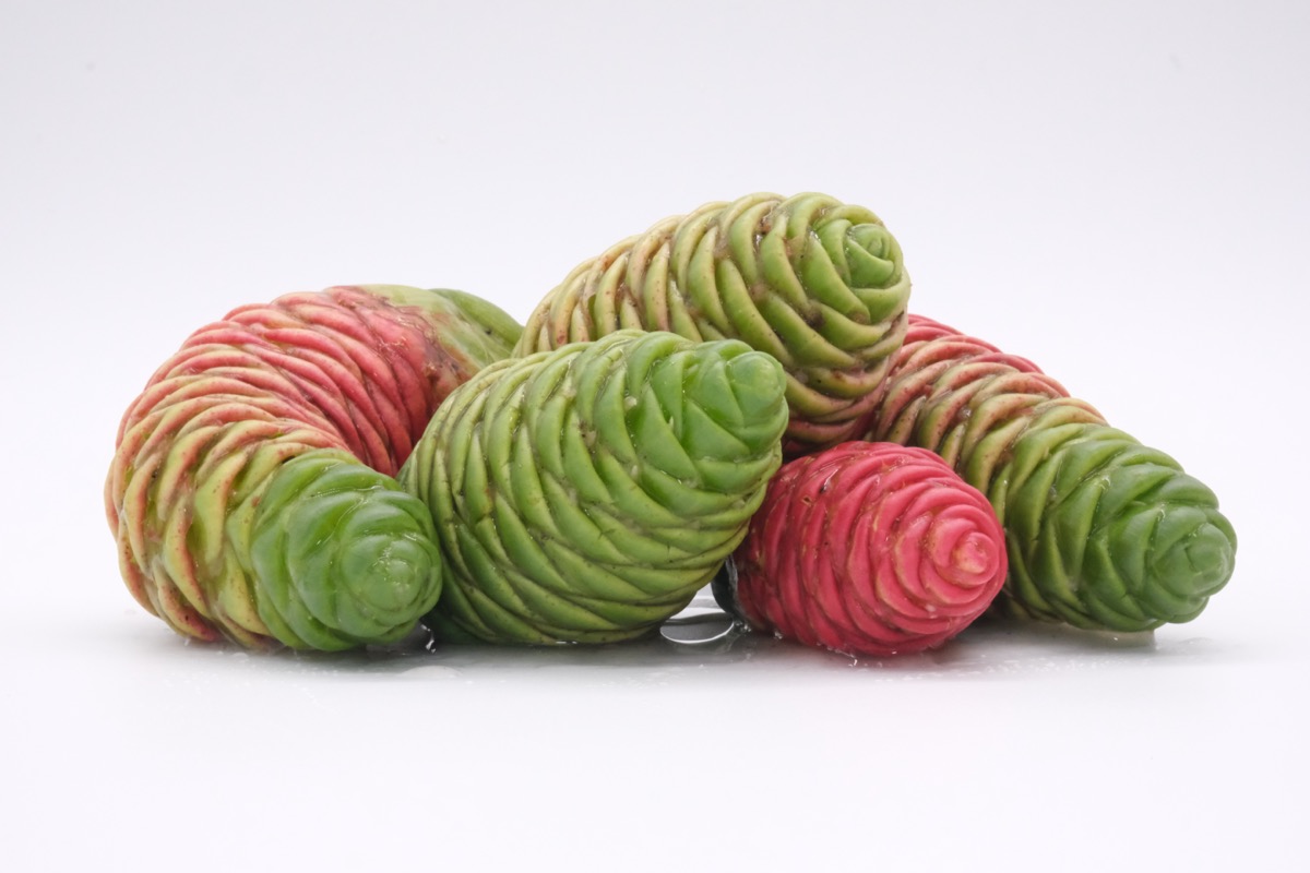 Dried Awapuhi Flowers